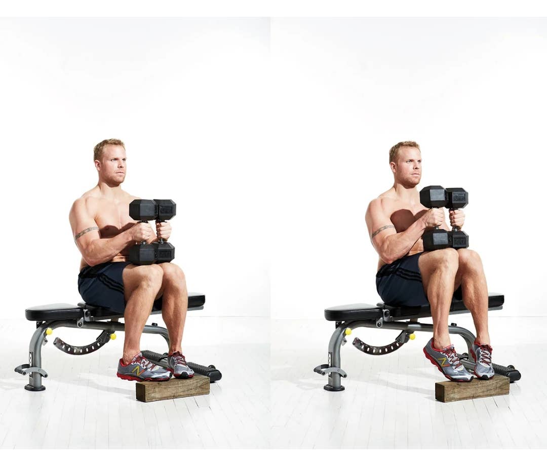 Seated Dumbbell Calf Raises Seated Dumbbell Calf Raise Video Exercise