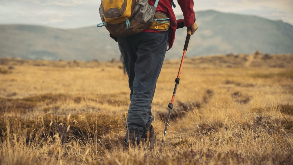 The Best Hiking Pants (2023): Joggers, Leggings, and Convertible Pants |  Condé Nast Traveler