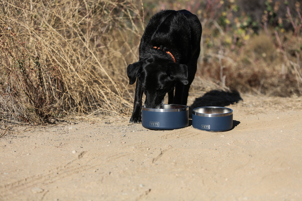 YETI / Boomer 4 Dog Bowl - Canopy Green