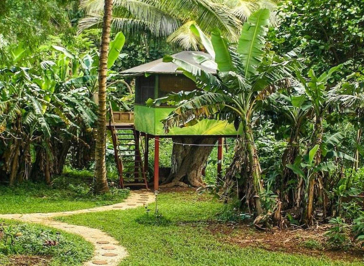 Dream Hawaii Airbnb rentals to help you ease into fall Men's Journal