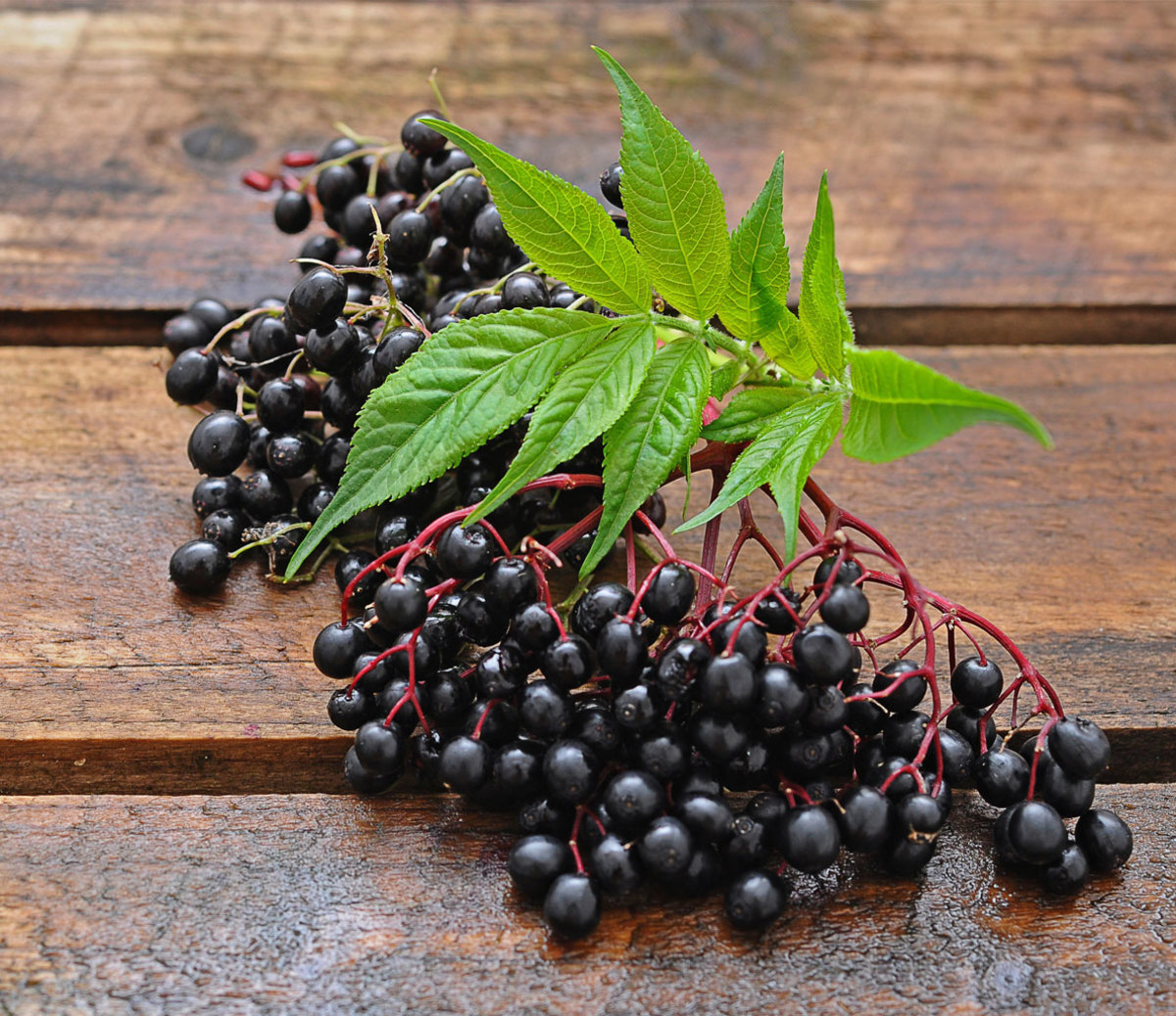 12 Foods That Can Kill You (Seriously) Men's Journal