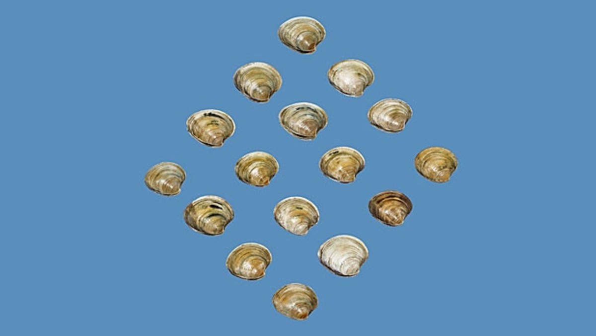 18 Gifts for the Food Enthusiast - Men's Journal