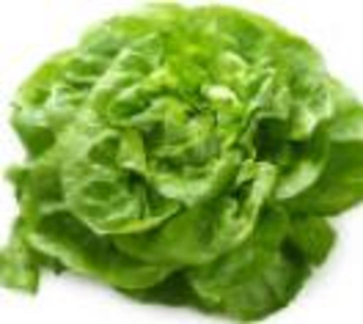 Bagged Lettuce Men's Journal