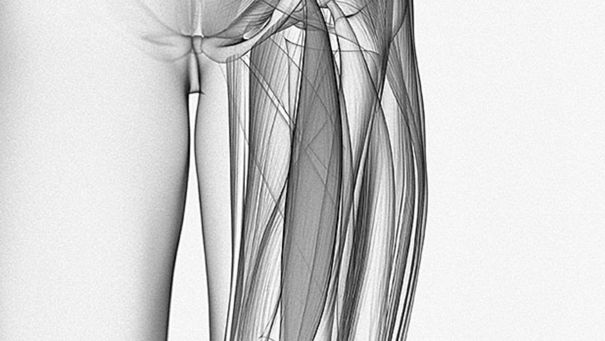 Upper body workout sales with pulled hamstring