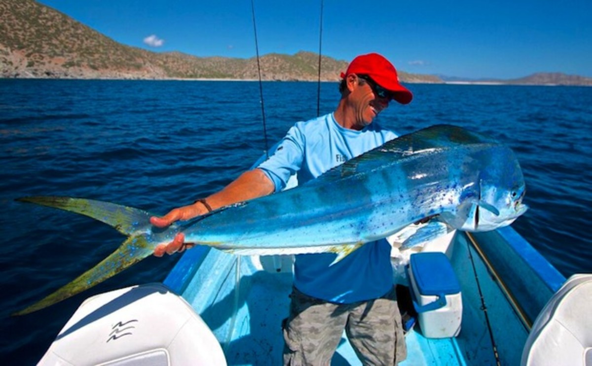 Once in a blue moon, a blue mahimahi is caught Men's Journal