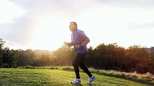 Stronger Healthier Fitter: A Holistic Approach To Wellness