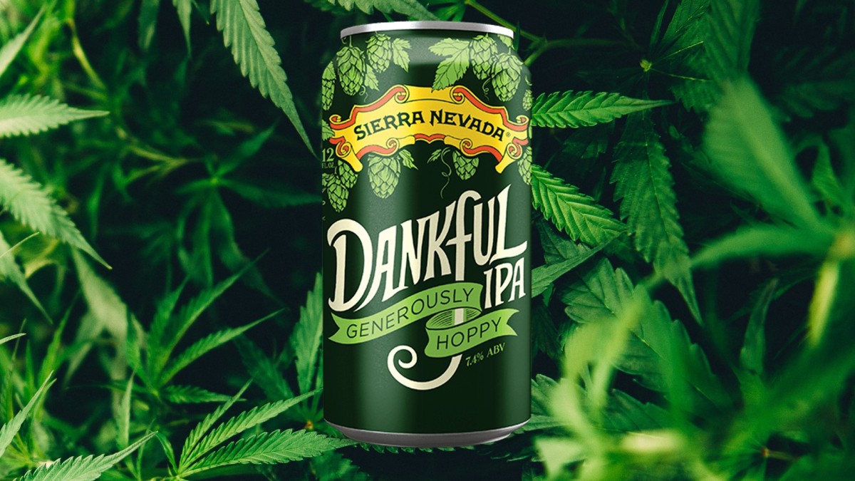 Best Hemp and HopForward Beers for Weed Lovers Men's Journal Men