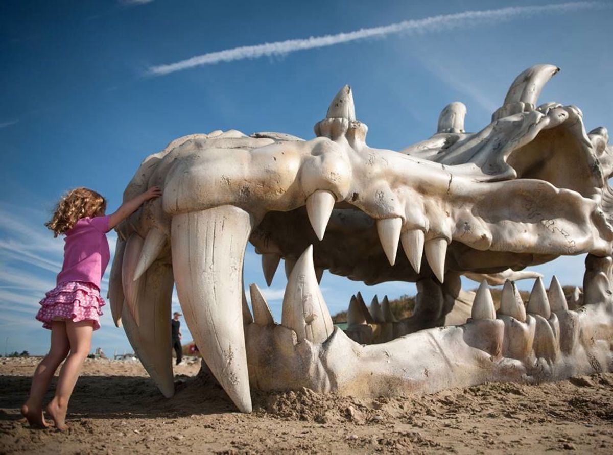 Cráneo de dragón gigante descubierto en una playa británica - Men's Journal