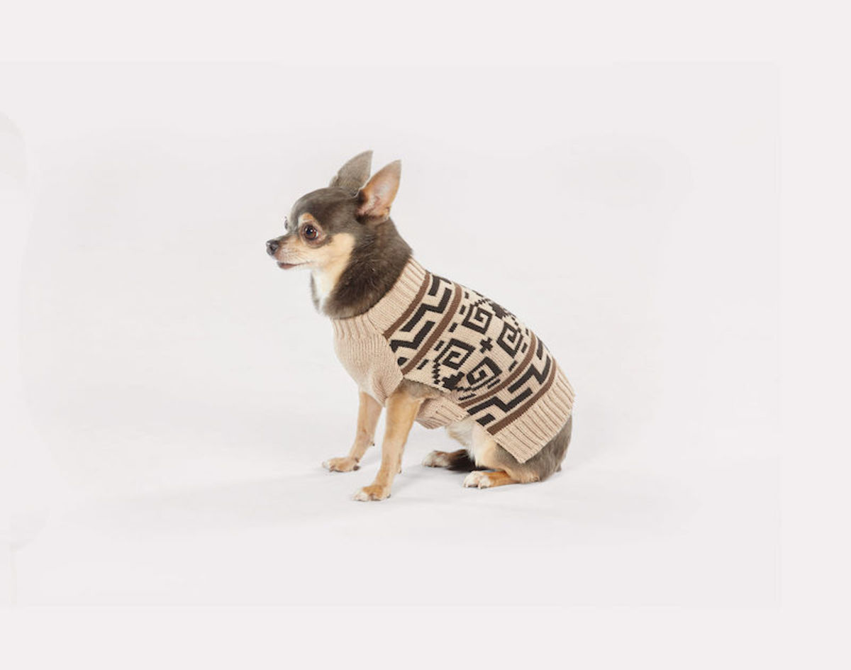 17 Smart Holiday Gifts for Dogs and Dog Lovers Men's Journal