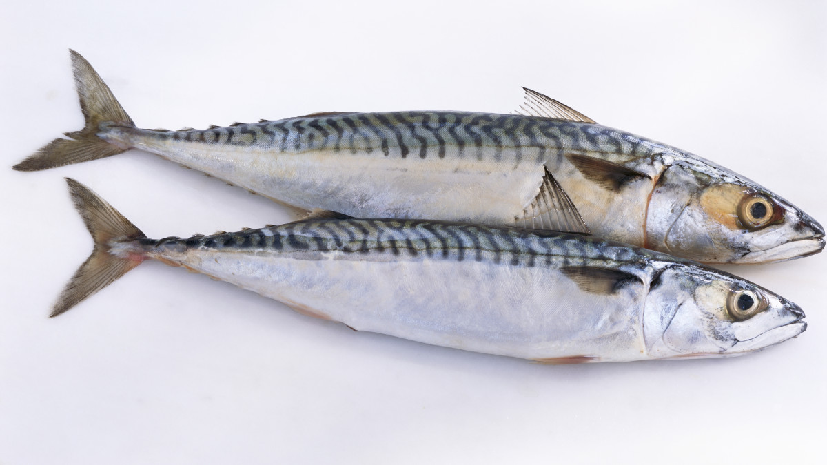 The Reason Why Sardines Are the Perfect Protein - Men's Journal