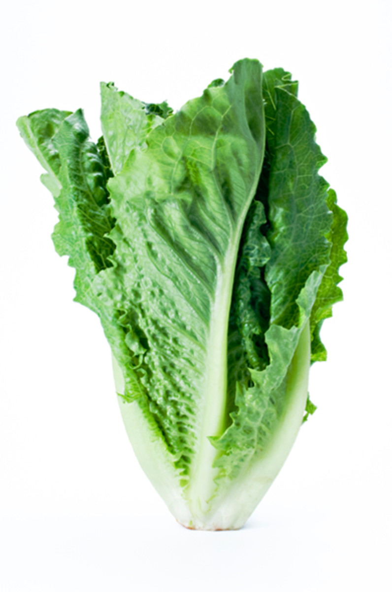 50 tasty foods under 50 calories Men's Journal