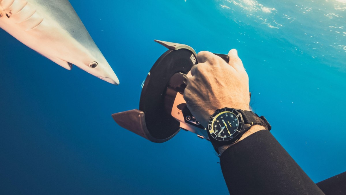 Watch of the Week Ulysse Nardin Diver Lemon Shark Men's Journal Men's Journal