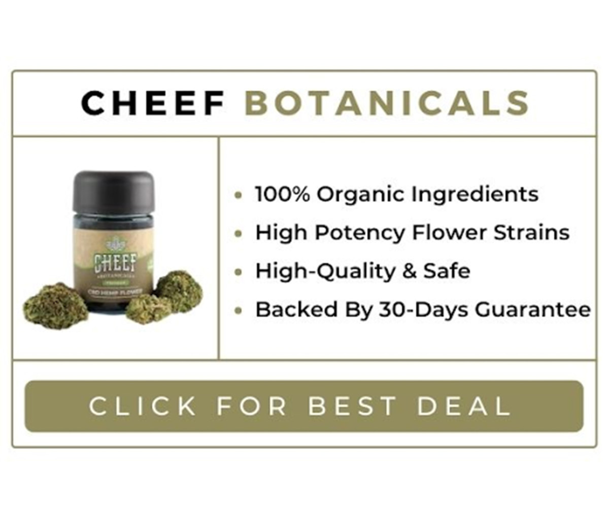 Best CBD Flower Of 2023 Top CBD Hemp Brands To Buy Online Men's Journal