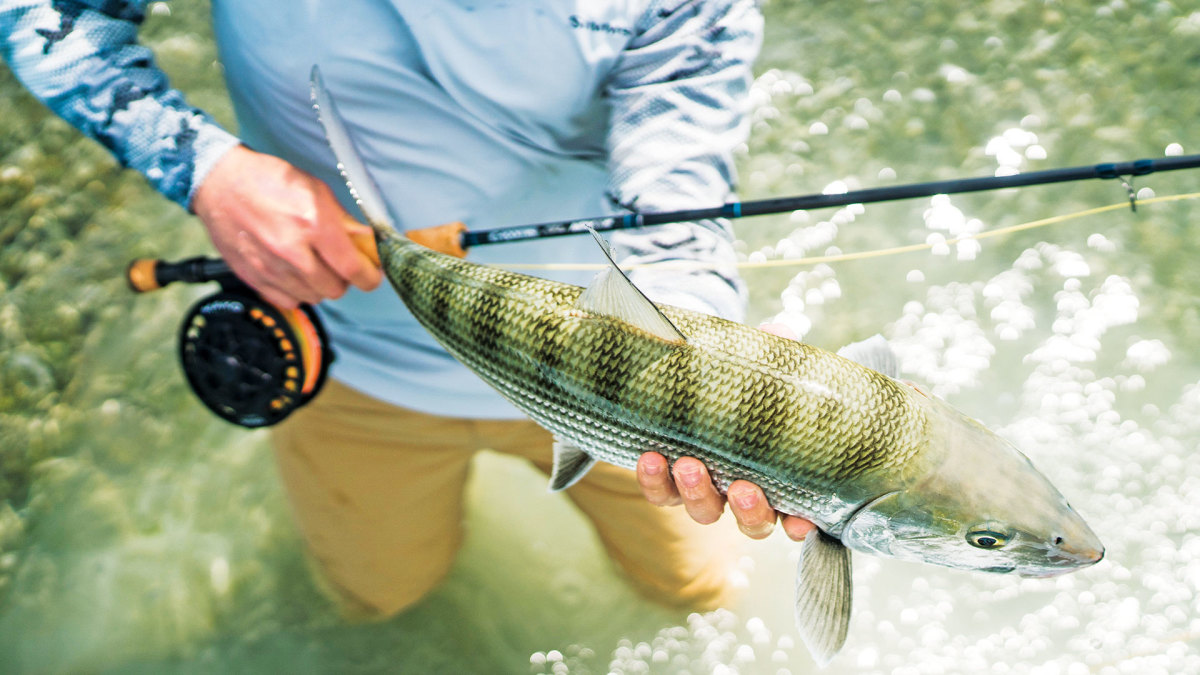 Saltwater fly fishing shop gear