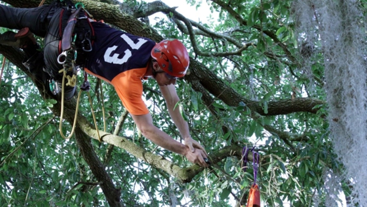 14 World Championships Anyone Can Win Men's Journal