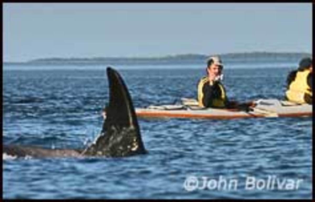 Waterproof Digital Cameras for Paddling Men's Journal