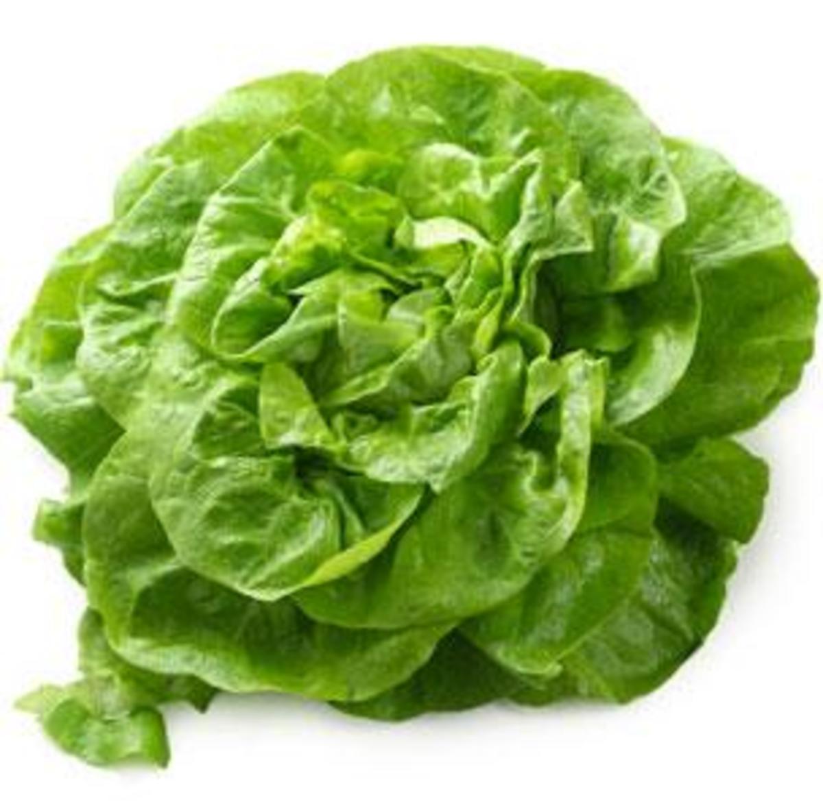 Bagged Lettuce Men's Journal