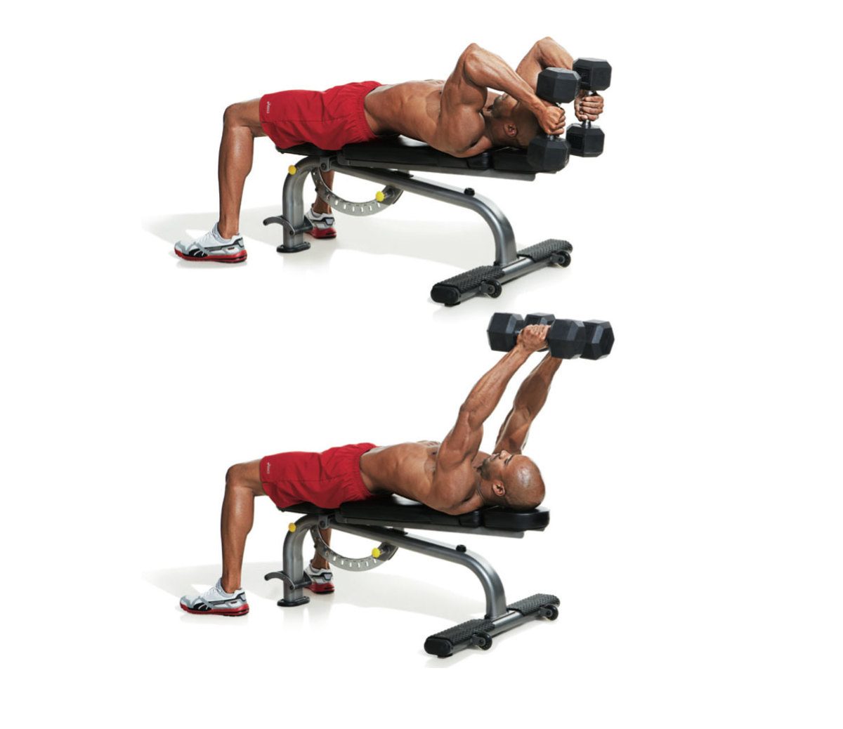 50 Best Arm Exercises for 2024 - Men's Journal