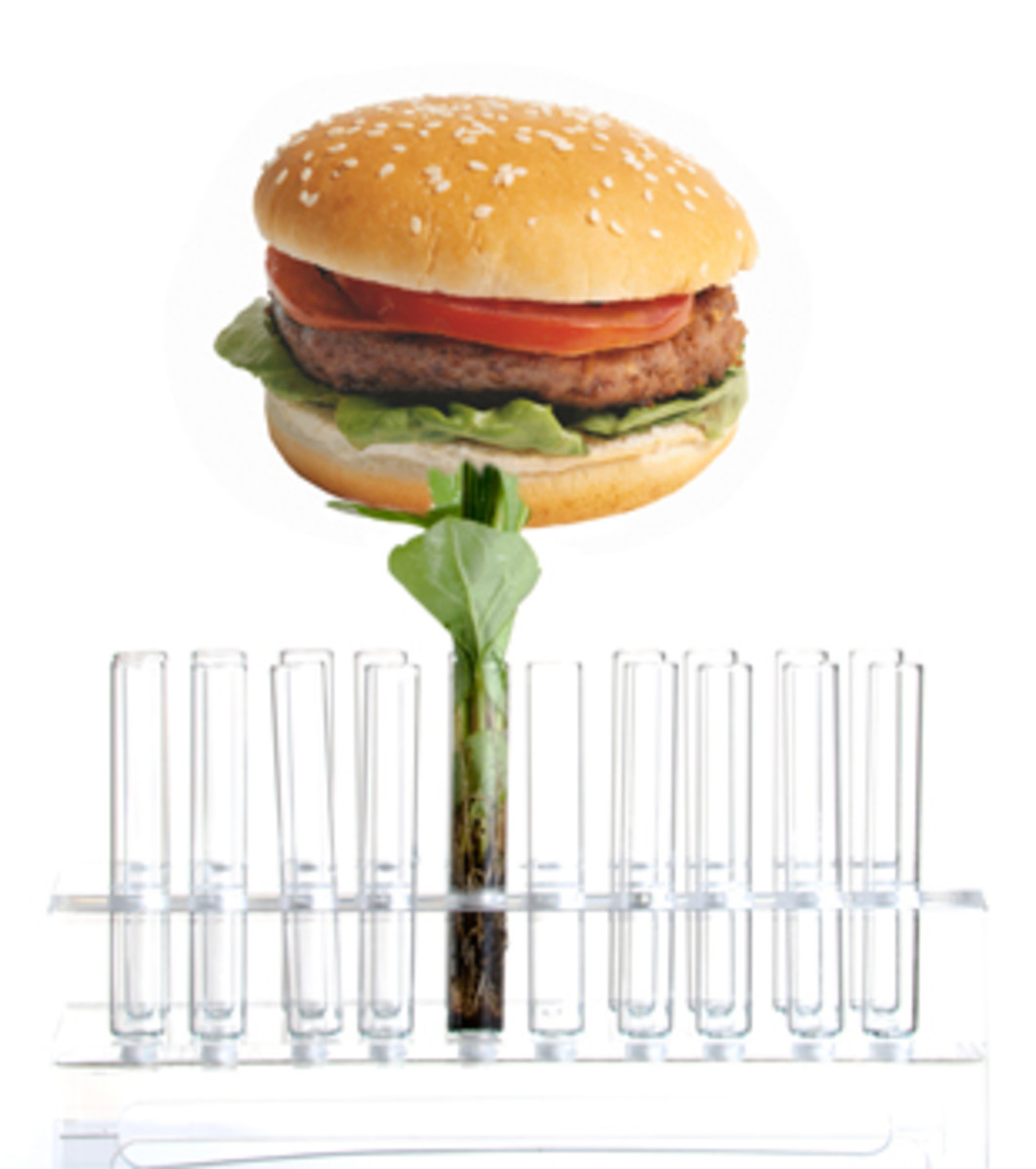 LabGrown Hamburger to Debut Men's Journal