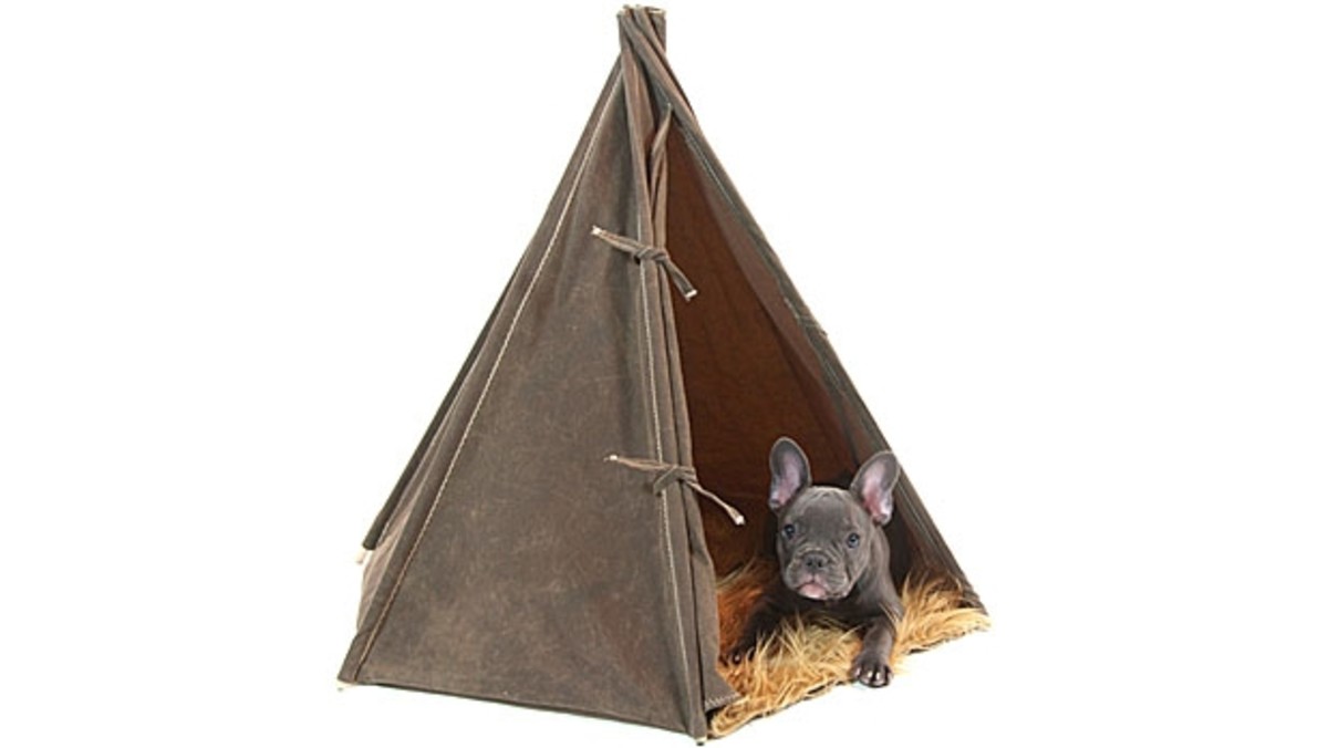 5 Durable Dog Beds From LL Bean, Orvis, Filson and More Men's Journal