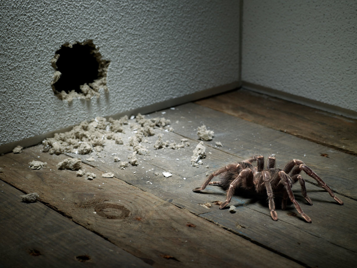 How to Get Rid of a Phobia Men's Journal