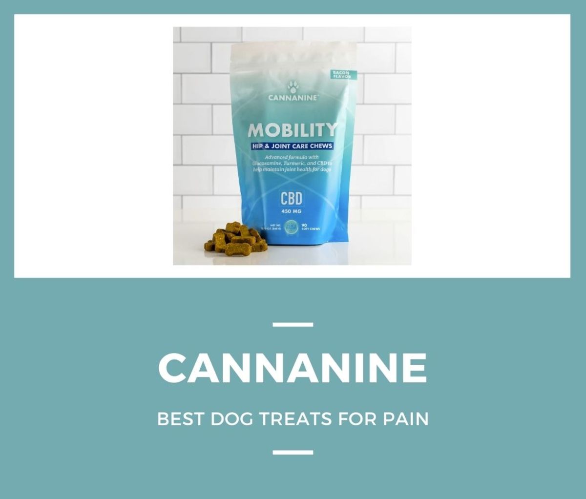 Best Dog Treats Soothe Your Pup s Pain and Sore Joints Men s