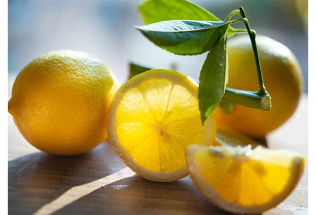 How To Pass A Hair Follicle Drug Test In 2023 Men's Journal