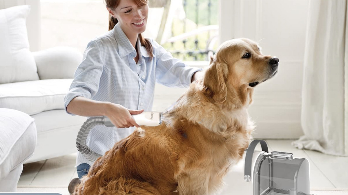 This Pet Grooming and Vacuum Kit Is 260 Off on Amazon Men's Journal