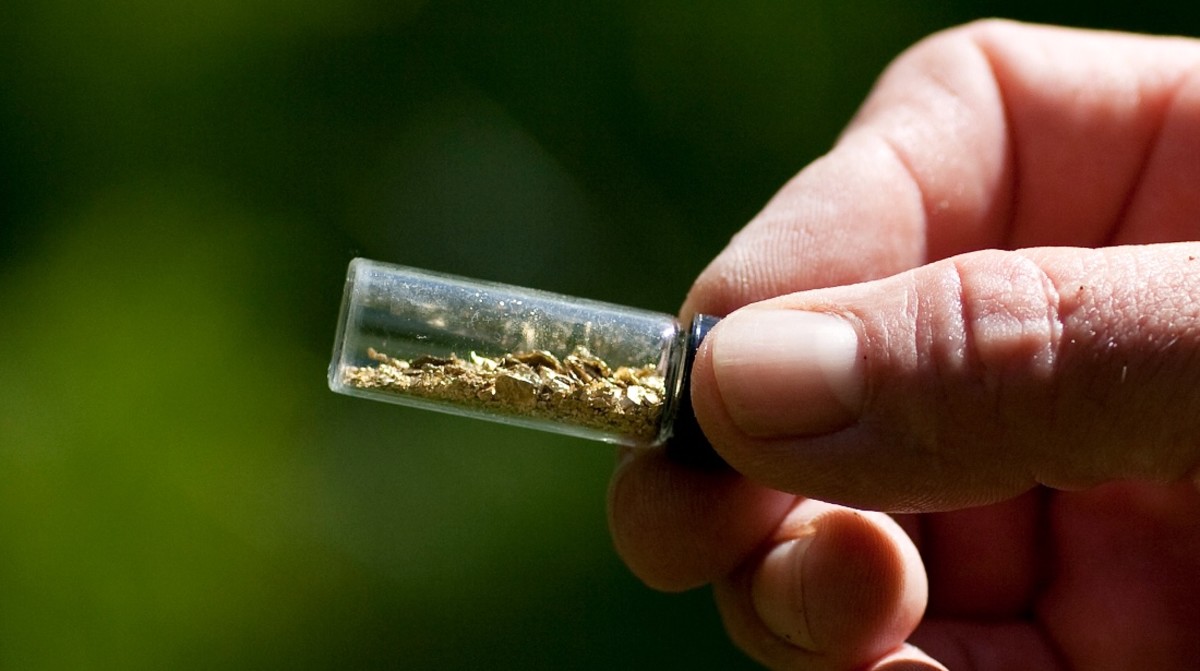 Experts Predict Gold Rush 2.0 in California After Harsh Winter Men's