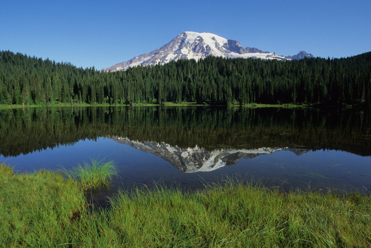 Mount Rainier National Park Plans to Start Requiring Reservations Men