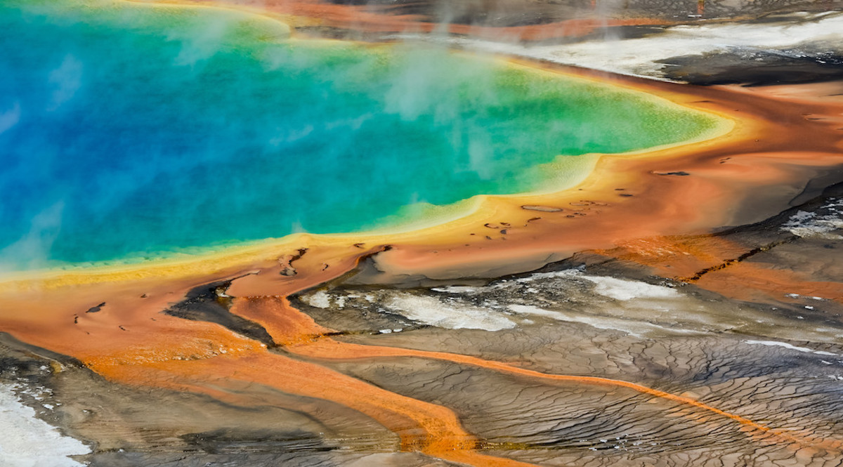 Yellowstone National Park Visitor Touches Green Hot Spring With Bare