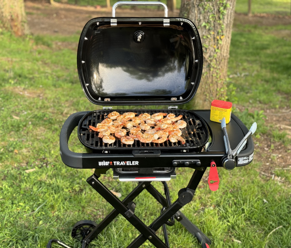 Best Portable Grills of 2024 Reviewed Men s Journal