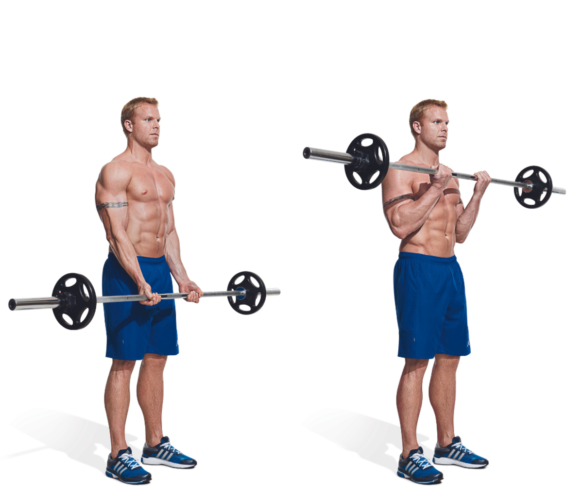 Best bicep workout for men store