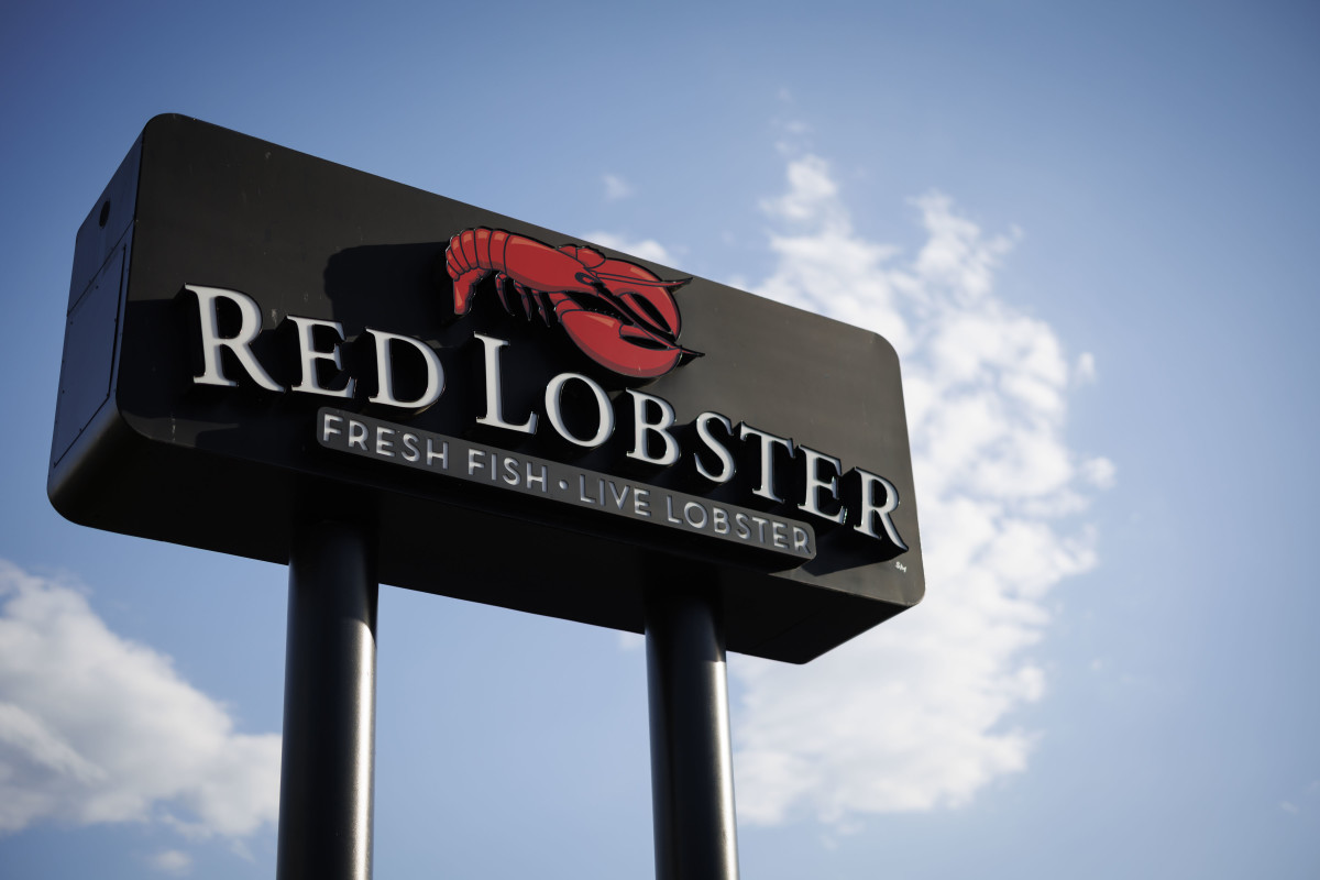 Where Is The Closest Red Lobster Restaurant Rare Orange Lobster Discovered at Colorado Red Lobster Restaurant