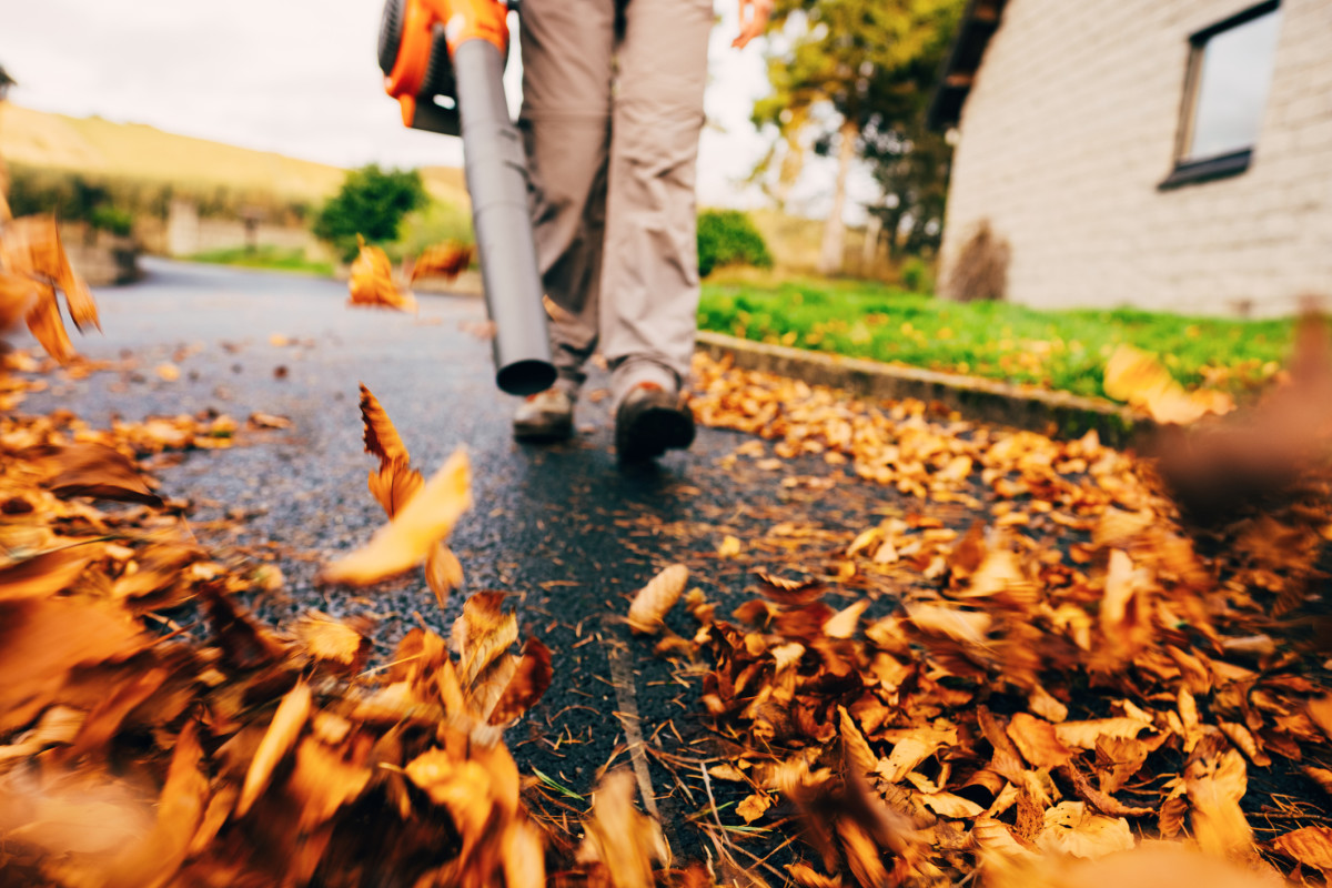 How Much Does a Lawn Crew Cost for Fall Leaf Cleanup Men s Journal Home Living Handbook