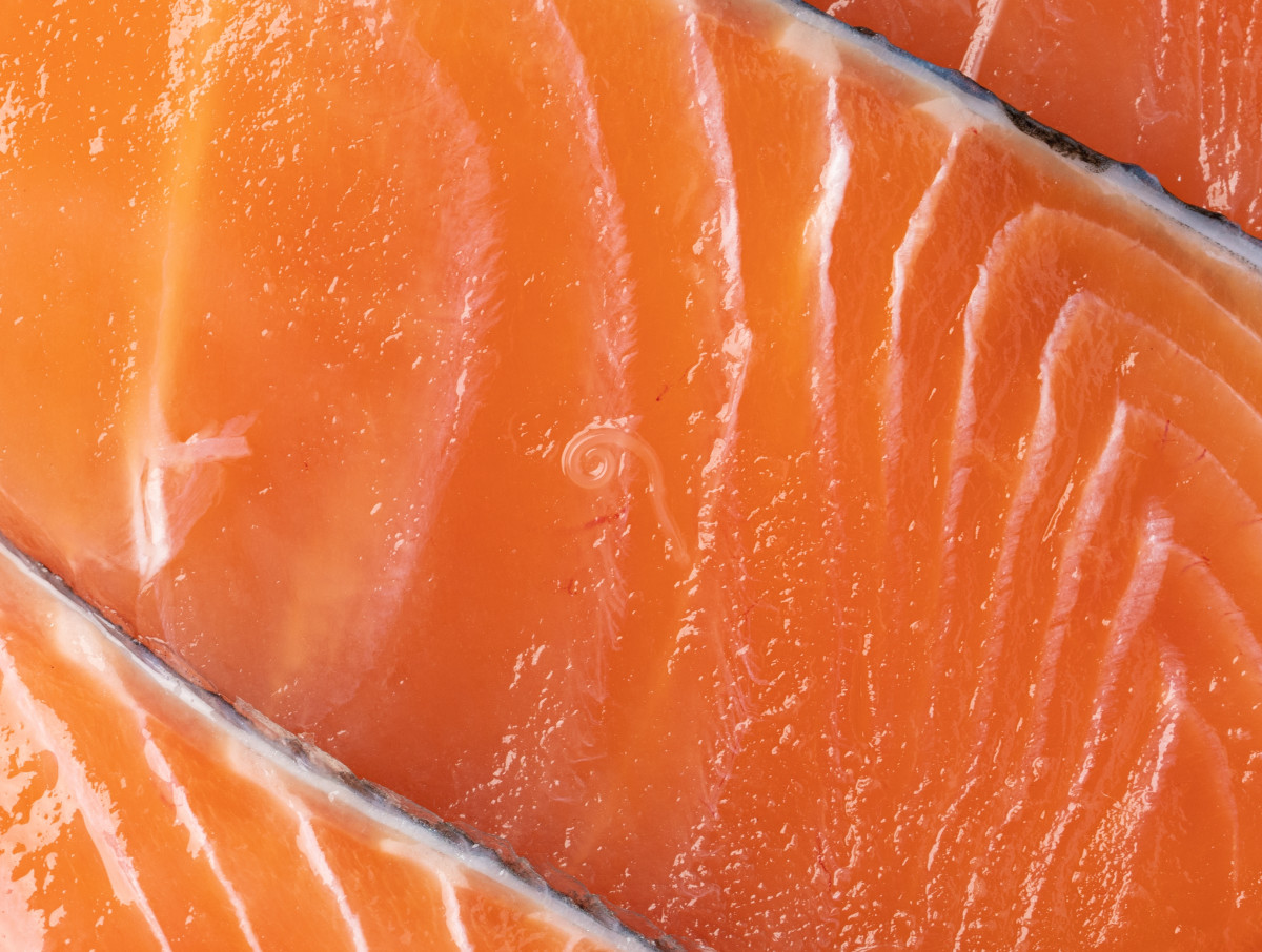 Viral Video Shows Worm Slithering in Costco Salmon - Men's Journal