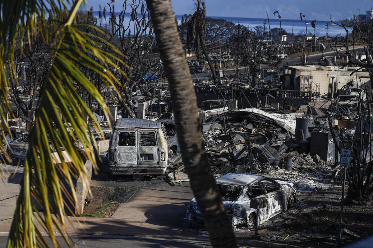 Tourists Escape Maui Wildfires by Standing in Pool for Hours(01)