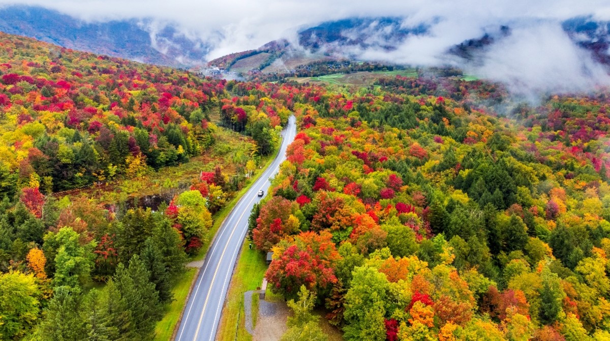 Interactive%20Fall%20Foliage%20Map%20Predicts%20When%20Leaves%20Change%20-%20Mens%20Journal