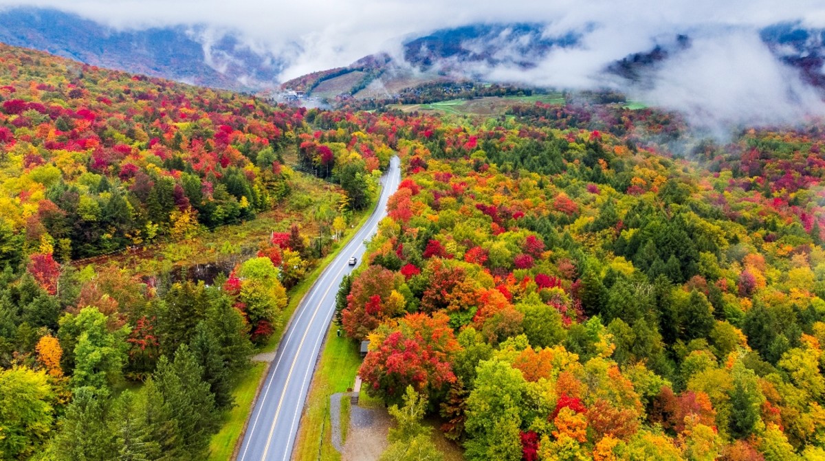 2021 Fall Foliage Forecast: Later Start, Bright Colors Expected - PA  Weather Action