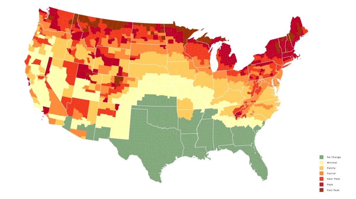 Interactive Fall Foliage Map Predicts When Leaves Change Men's Journal