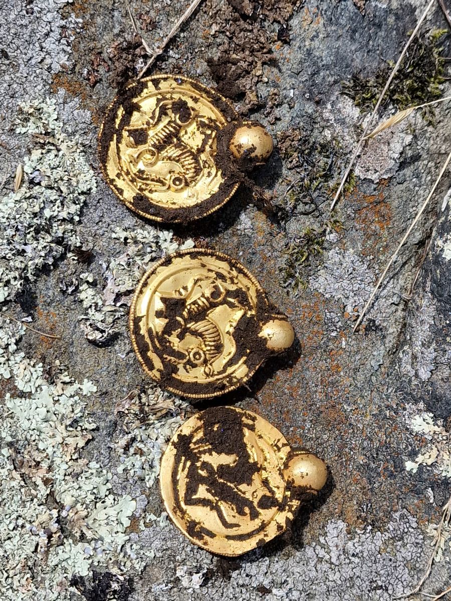 Amateur Metal Detectorist Makes Find of the Century in Norway photo