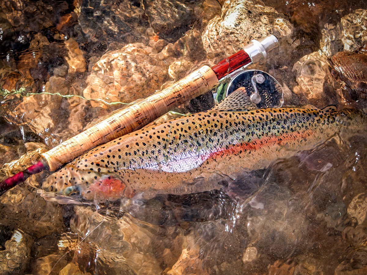 Things I learned My First Year Fly Fishing - AvidMax Blog