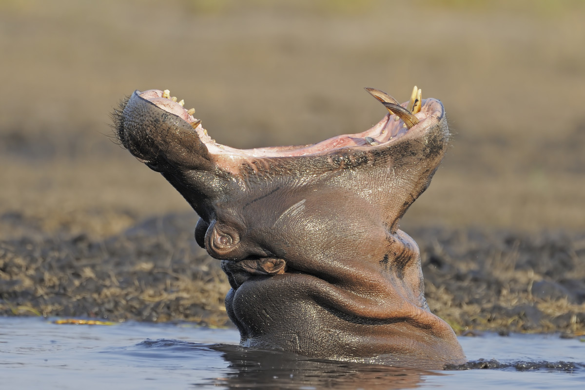 How to Prepare Your Home for Power Outages - Hippo