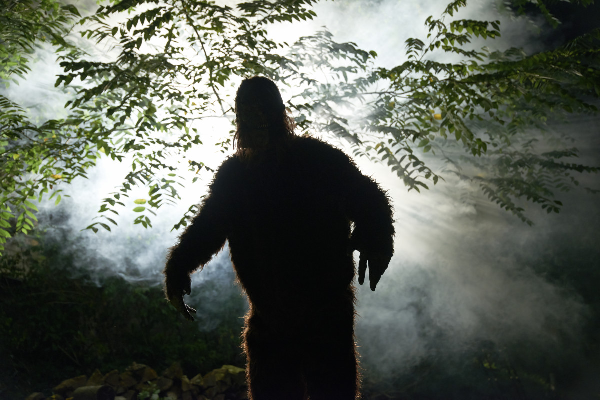 Hiker in Foreign Country Claims - Sasquatch Or Big Foot In Forest