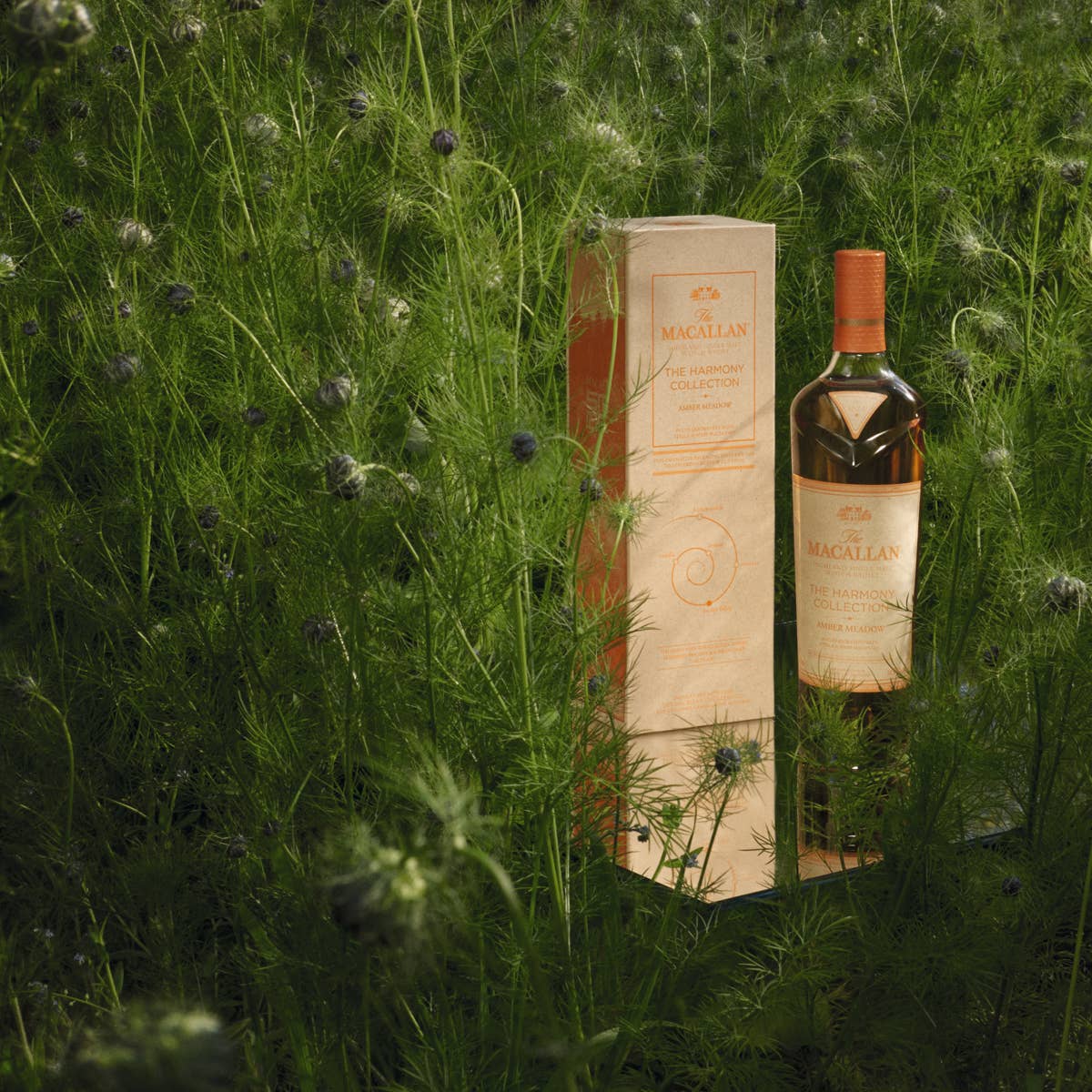 amber meadow macallan harmony collection
