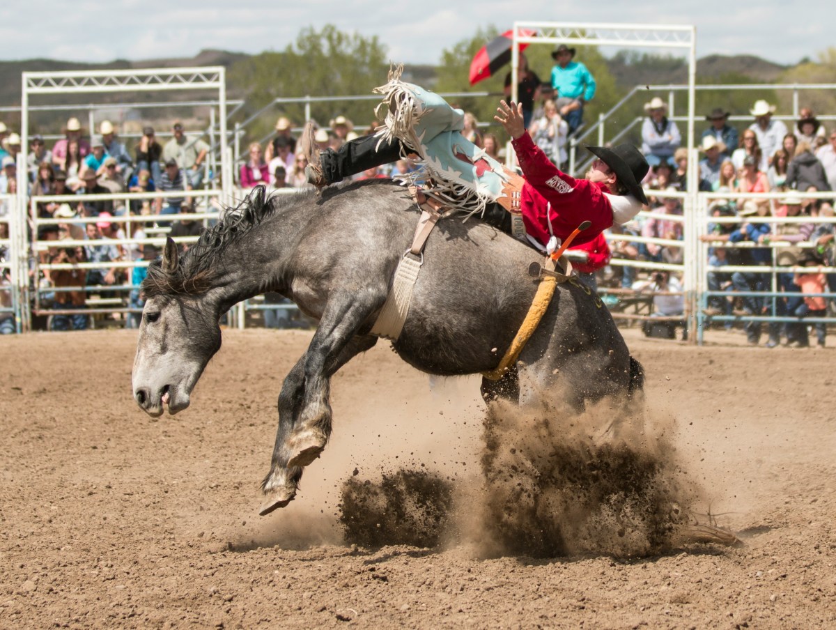 Champion Rodeo Company