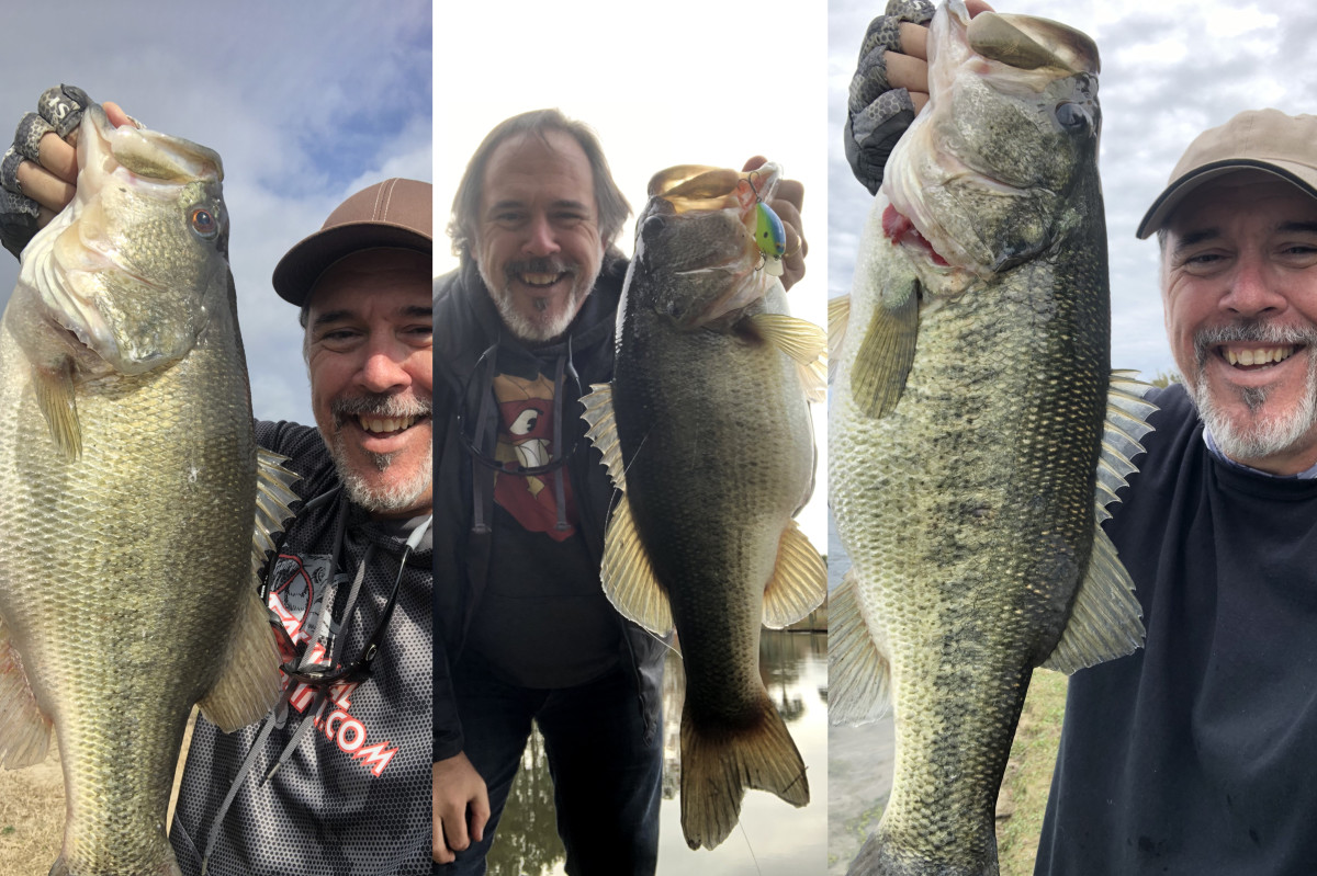 Pond bass on sale