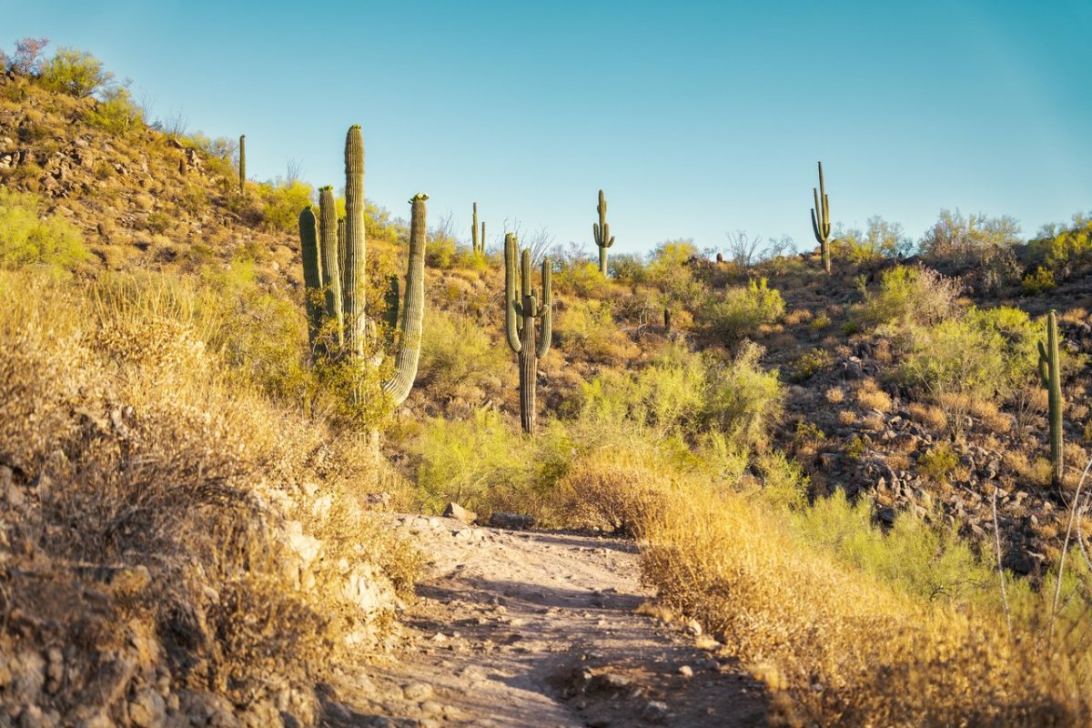 7 Reasons to Visit Scottsdale, AZ and 3 Downsides to Consider - Men's  Journal