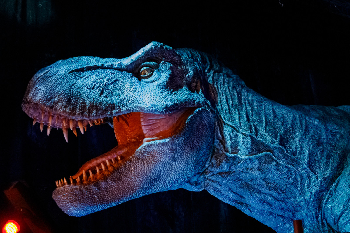 Here's Everything We Know About the Upcoming 'Jurassic World