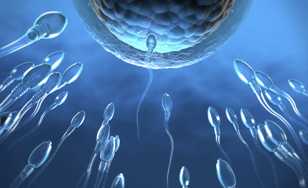 The World's First Sperm Racing Is Coming